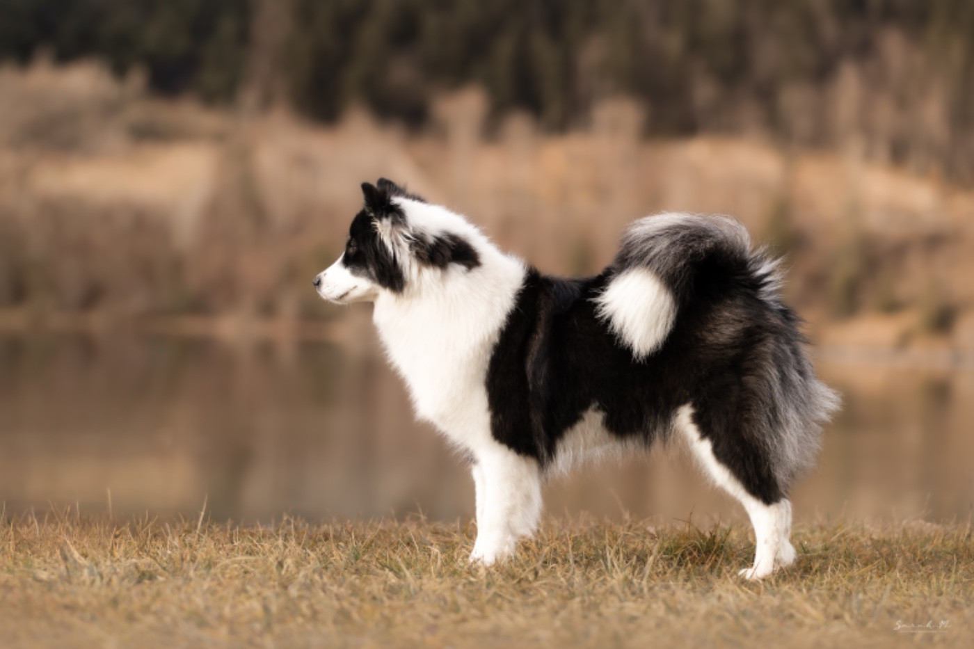 Vistaprint-In-Black-N-White de  L'eden Des Shokou